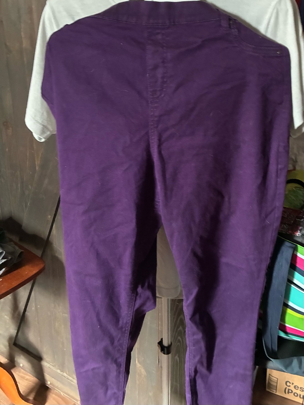 Purple woman’s stretch fit Casual Pants
